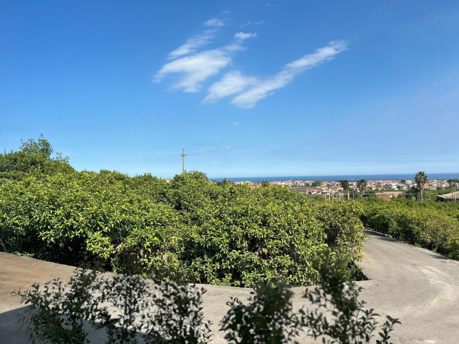 Villa Iiulia Hills Fiumefreddo di Sicilia Dış mekan fotoğraf